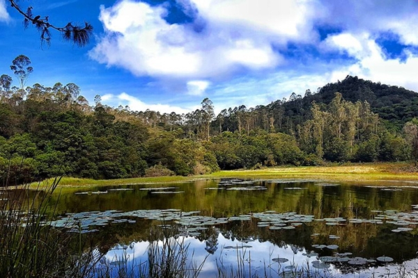 Berijam Lake Kodaikanal nearby attraction