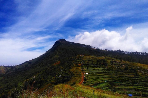 Perumal Peak Kodaikanal trekking