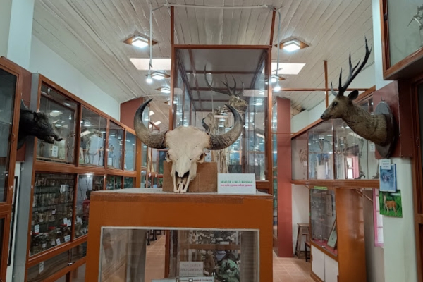 Shembaganur Museum Kodaikanal attraction